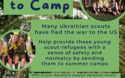 Send a Scout to Summer Camp in the US